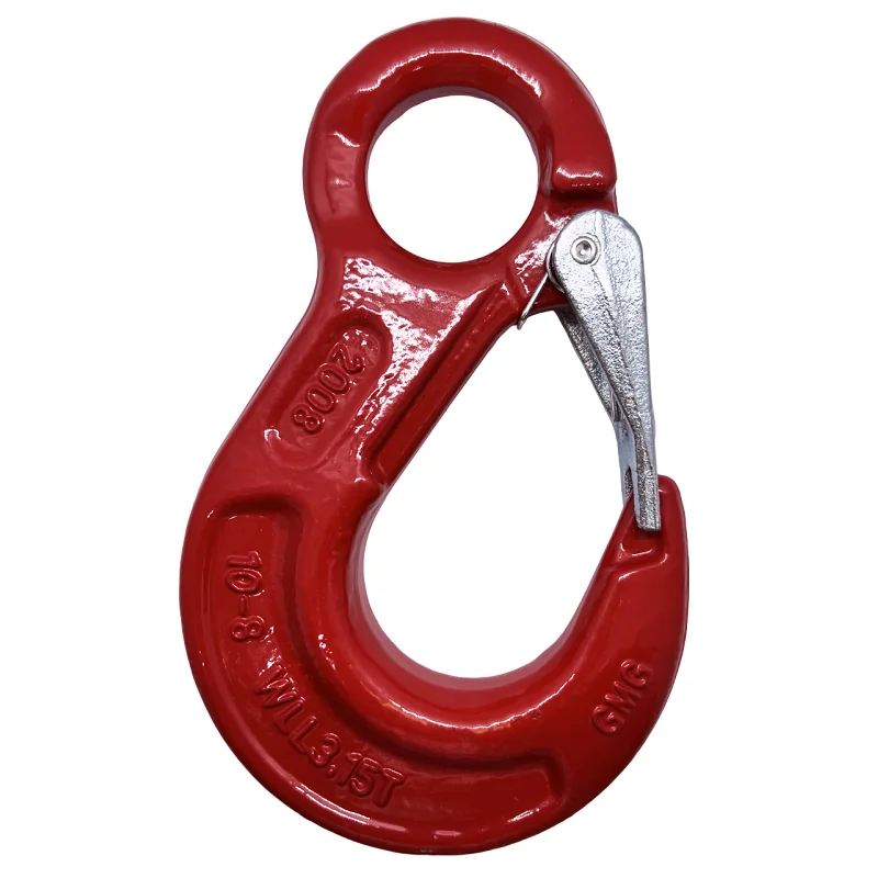 Hak z zabezpieczeniem z uchem 10mm klasa 8